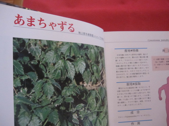 これでわかる薬用植物　中田福市, 中田貴久子 （沖縄の薬草） これでわかる ⁄ 定価 19，800円 薬用植物 薬草(本、雑誌)の中古品