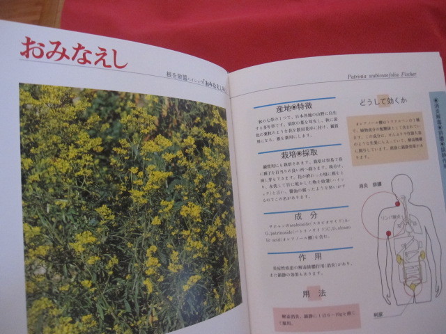 これでわかる ⁄ 定価 19，800円 薬用植物 薬草(本、雑誌)の中古品