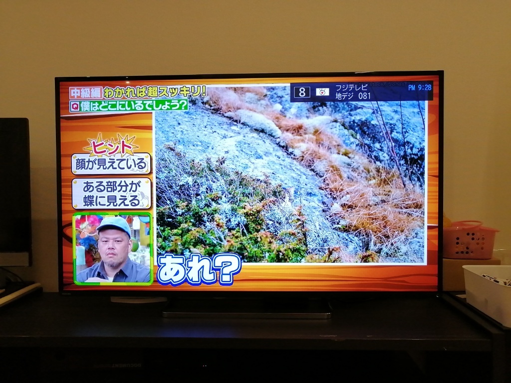 TOSHIBA/東芝 55Z8 REGZA/レグザ 液晶 カラーテレビ 55型 公式 ストア