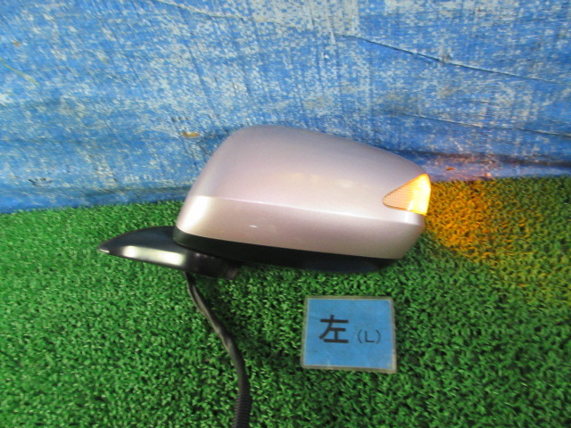 l653909895.1