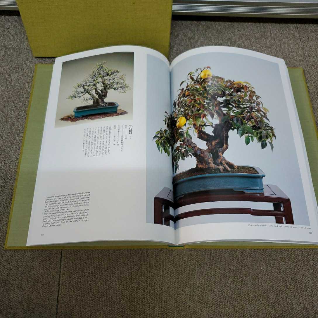 盆栽の美 加藤三郎 講談社 園芸 盆栽 盆栽 売買されたオークション情報 Yahooの商品情報をアーカイブ公開 オークファン Aucfan Com 盆栽の美 加藤三郎 講談社 園芸 盆栽 盆栽 売買されたオークション情報 Yahooの商品情報をアーカイブ公開 オークファン Aucfan Com