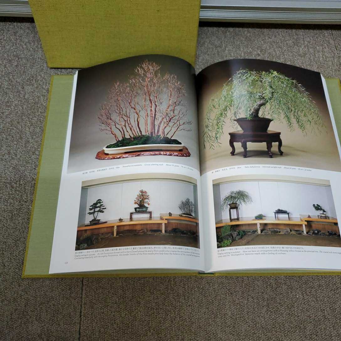 盆栽の美 加藤三郎 講談社 園芸 盆栽 盆栽 売買されたオークション情報 Yahooの商品情報をアーカイブ公開 オークファン Aucfan Com 盆栽の美 加藤三郎 講談社 園芸 盆栽 盆栽 売買されたオークション情報 Yahooの商品情報をアーカイブ公開 オークファン Aucfan Com