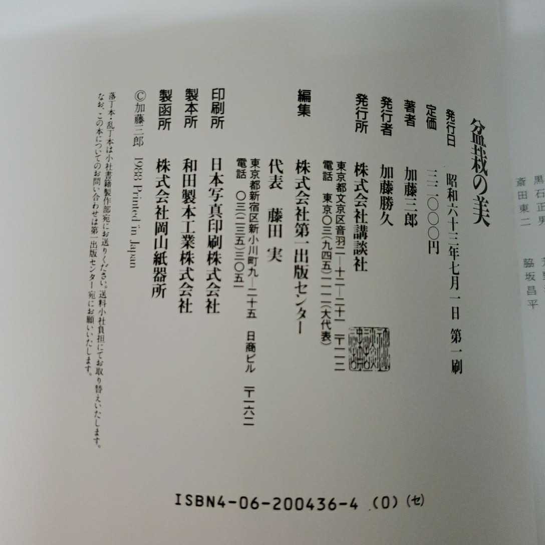 盆栽の美 加藤三郎 講談社 園芸 盆栽 盆栽 売買されたオークション情報 Yahooの商品情報をアーカイブ公開 オークファン Aucfan Com 盆栽の美 加藤三郎 講談社 園芸 盆栽 盆栽 売買されたオークション情報 Yahooの商品情報をアーカイブ公開 オークファン Aucfan Com