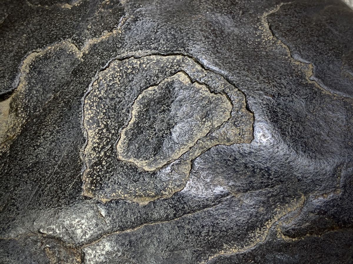 自然美術石博物館】水石 瀬田川石 横18×高3.5×奥行14.5(cm)