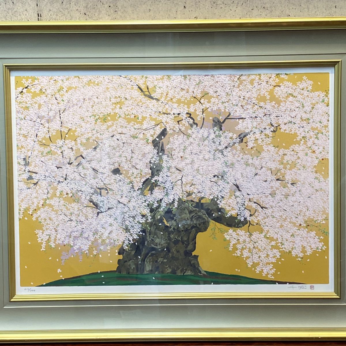 中島千波 作 「山高神代桜」 限定番号210/300番 画面寸法 495×730mm 版