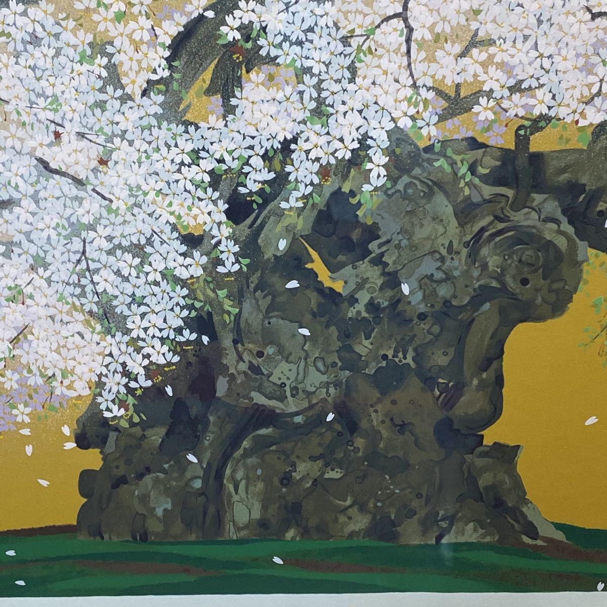 中島千波 作 「山高神代桜」 限定番号210/300番 画面寸法 495×730mm 版