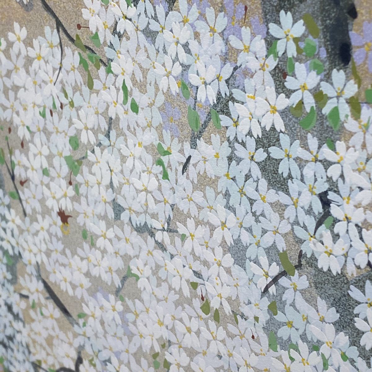 中島千波 作 「山高神代桜」 限定番号210/300番 画面寸法 495×730mm 版