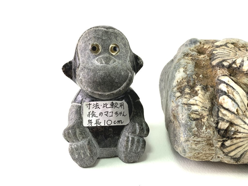 菊花石 鑑賞石 水石 盆石 天然石 石標本 木台 観賞石 岐阜県根尾