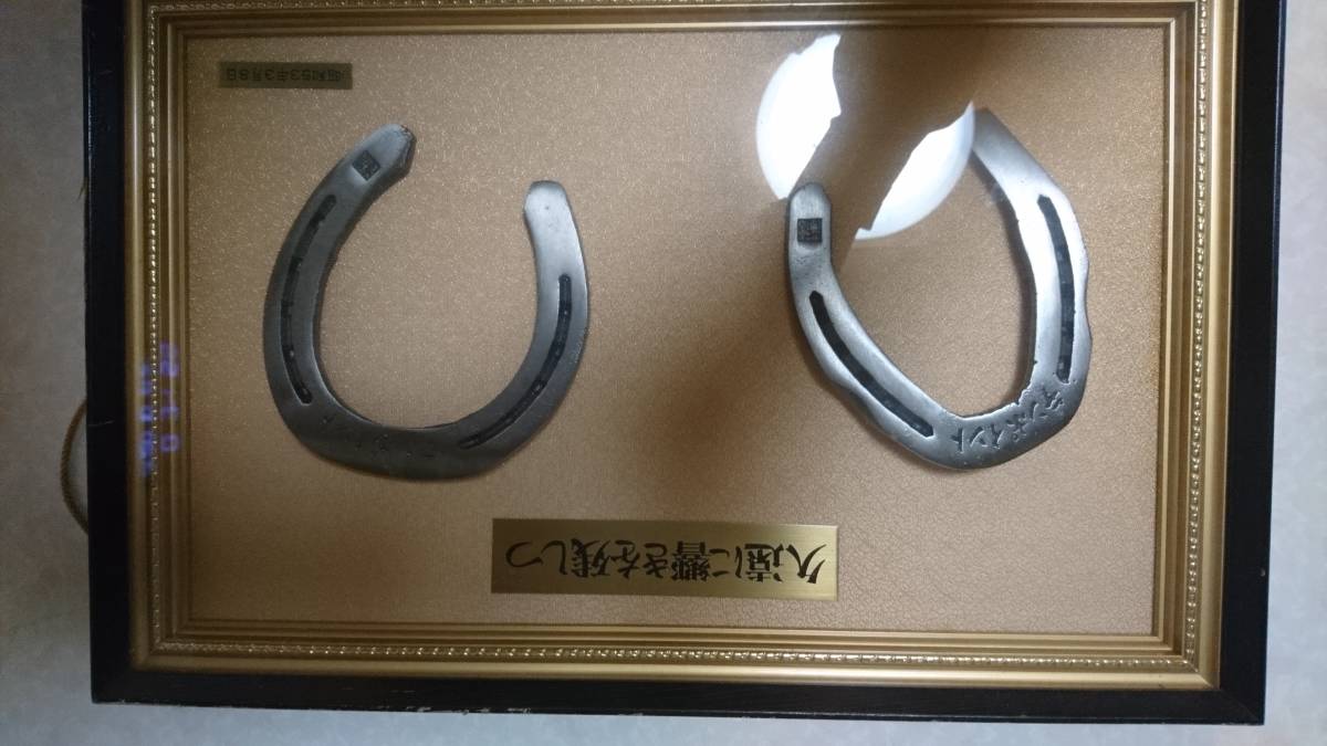 数量限定，格安 テンポイント 額装蹄鉄 競馬(その他)｜売買されたオークション情報、yahooの商品情報をアーカイブ公開 - オークファン その他