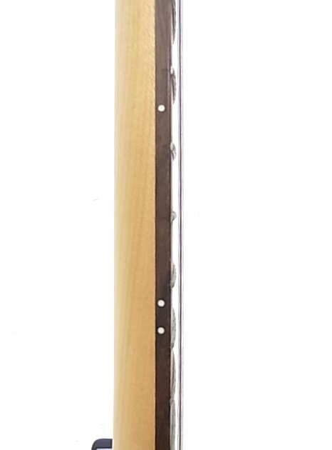 e4929 Peavey ピーヴィ AT-200 オートチューニングギター エレキギター