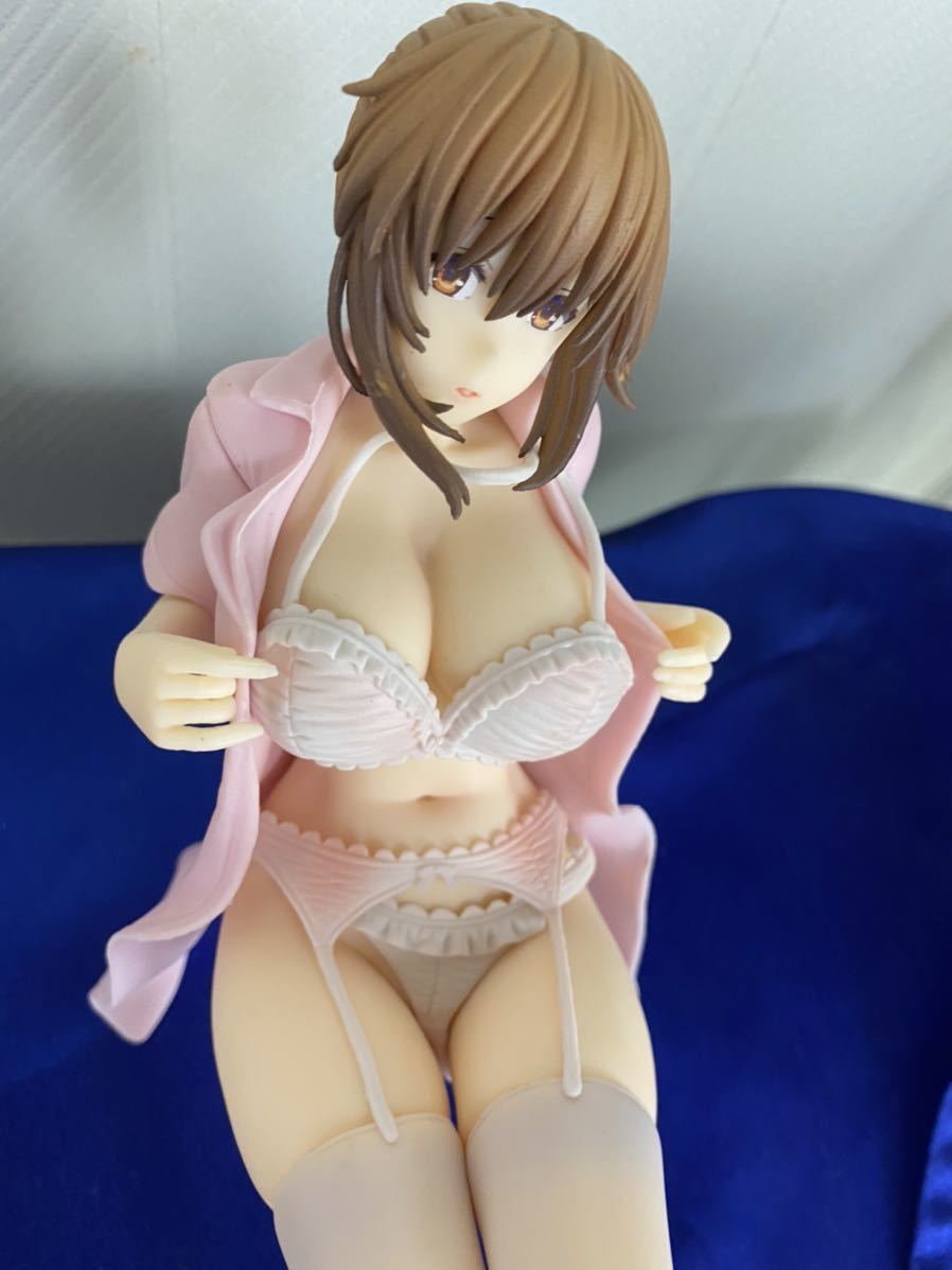 レチェリー ボクと彼女(ナース)の研修日誌 赤木澪 1/6 フィギュア 検索用 SKYTUBE スカイチューブ ダイキ工業