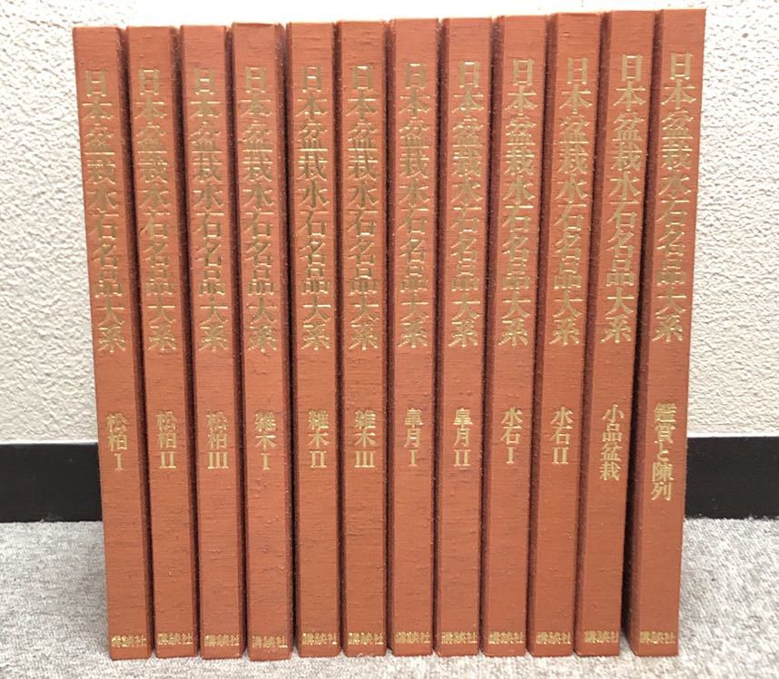 S1129 日本盆栽水石名品大系 日本盆栽協会編 全12冊 松柏Ⅰ Ⅱ Ⅲ
