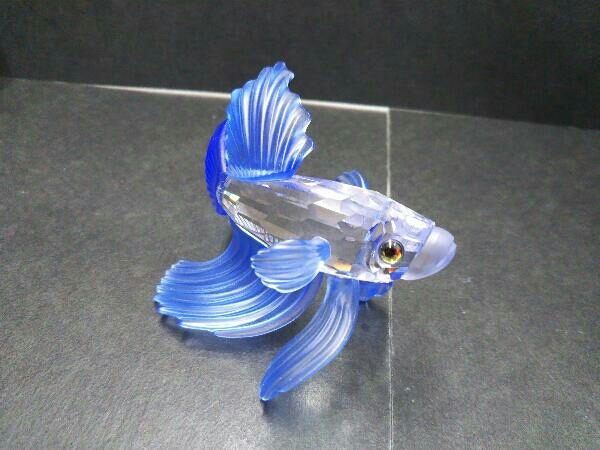 置物 - スワロフスキー SWAROVSKI 魚 熱帯魚 2026年最新Yahoo