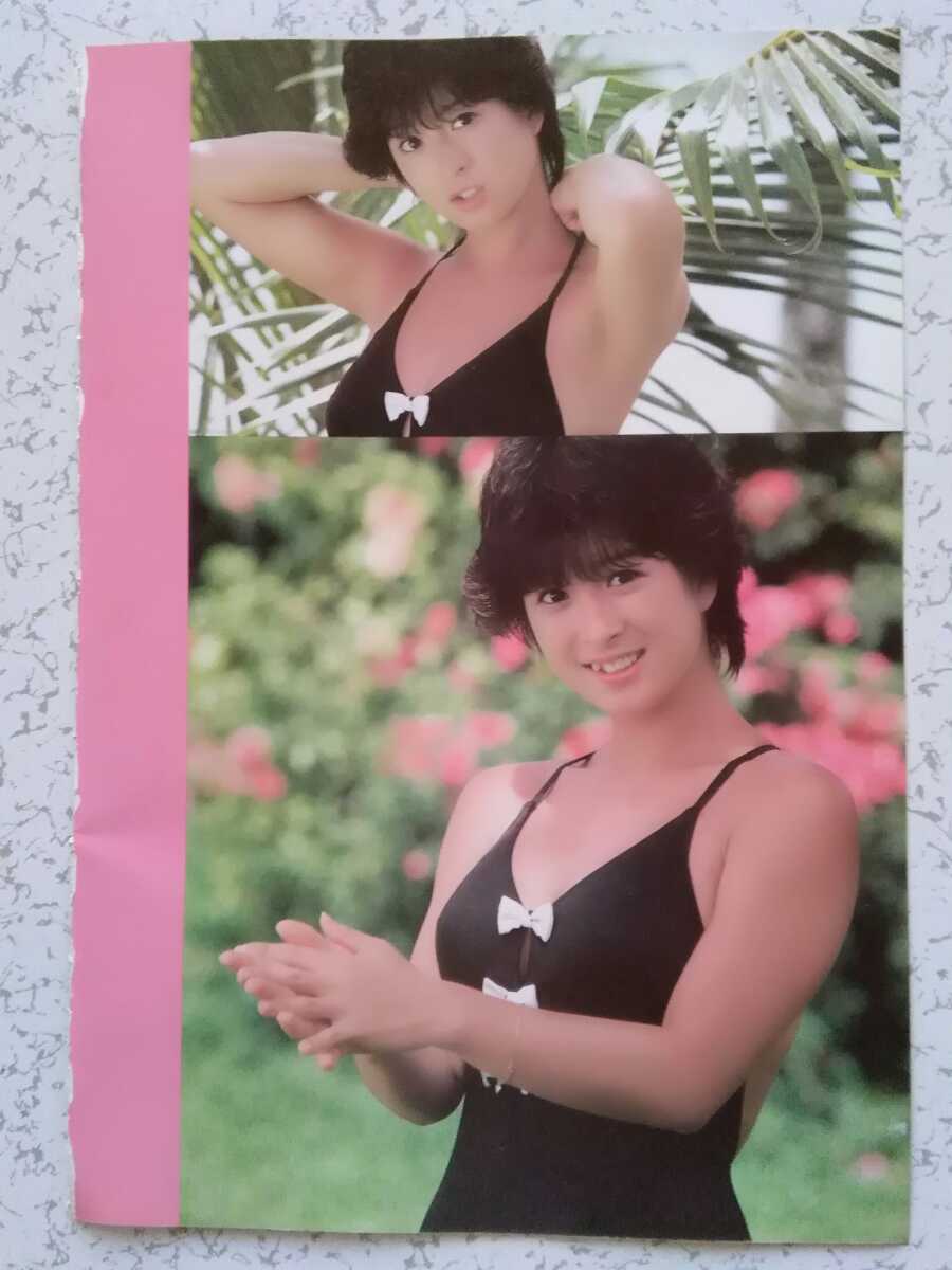 河合奈保子 水着グラビア 7ページ タレント 売買されたオークション情報 Yahooの商品情報をアーカイブ公開 オークファン Aucfan Com 河合奈保子 水着グラビア 7ページ タレント 売買されたオークション情報 Yahooの商品情報をアーカイブ公開 オークファン Aucfan Com