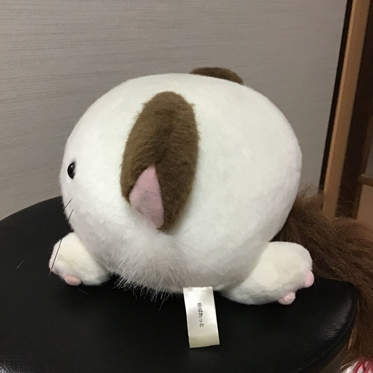 コスパ ぱれっと ましろ色シンフォニー ぱんにゃ ぬいぐるみ 和泉つ