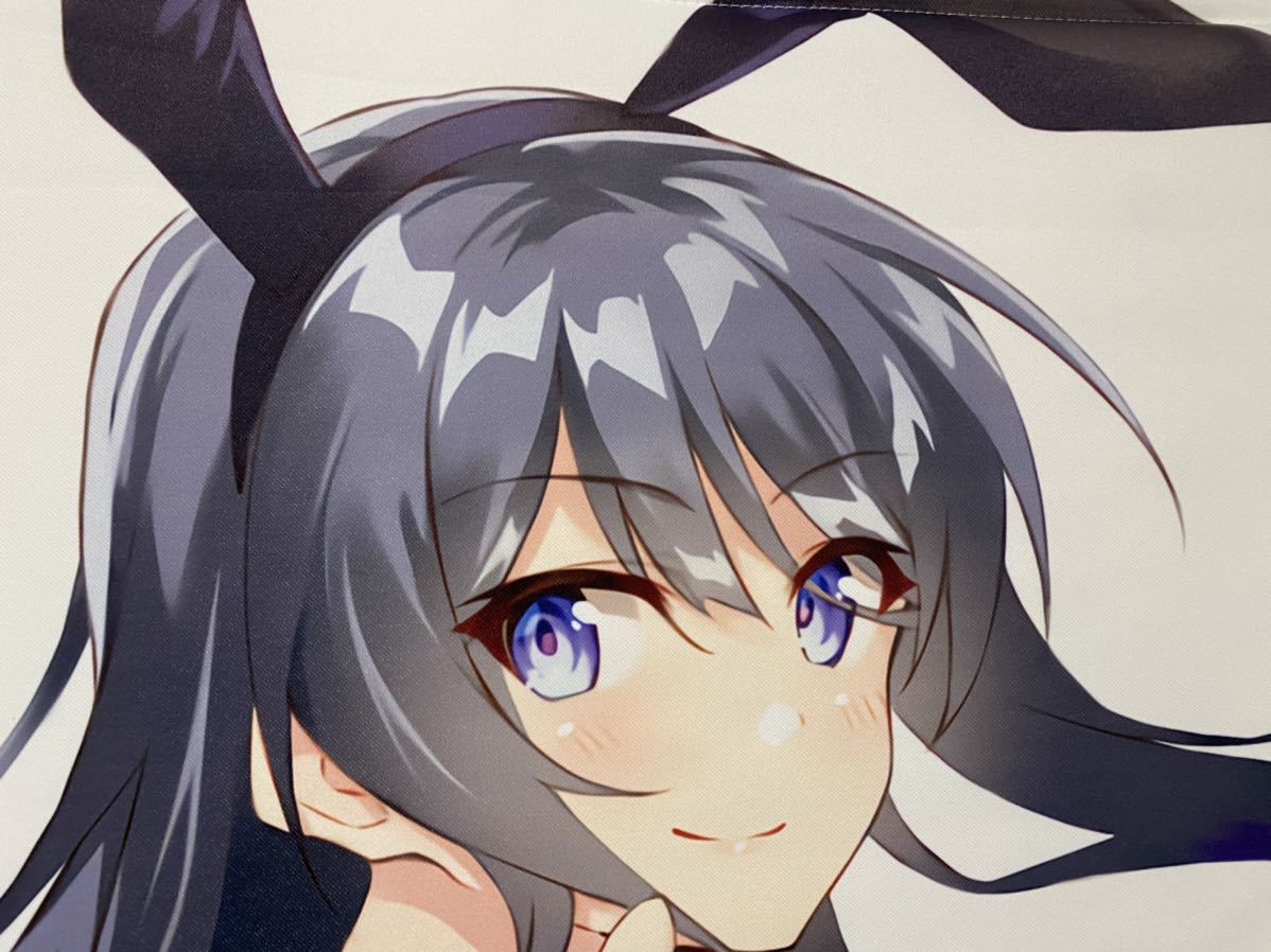 青春ブタ野郎はバニーガール先輩の夢を見ない 桜島麻衣 タペストリー バニーガールコス 状態良好 実寸 幅 59cm 縦 92cm 指鉄砲 ぱきゅん コミック アニメグッズ 売買されたオークション情報 Yahooの商品情報をアーカイブ公開 オークファン Aucfan Com