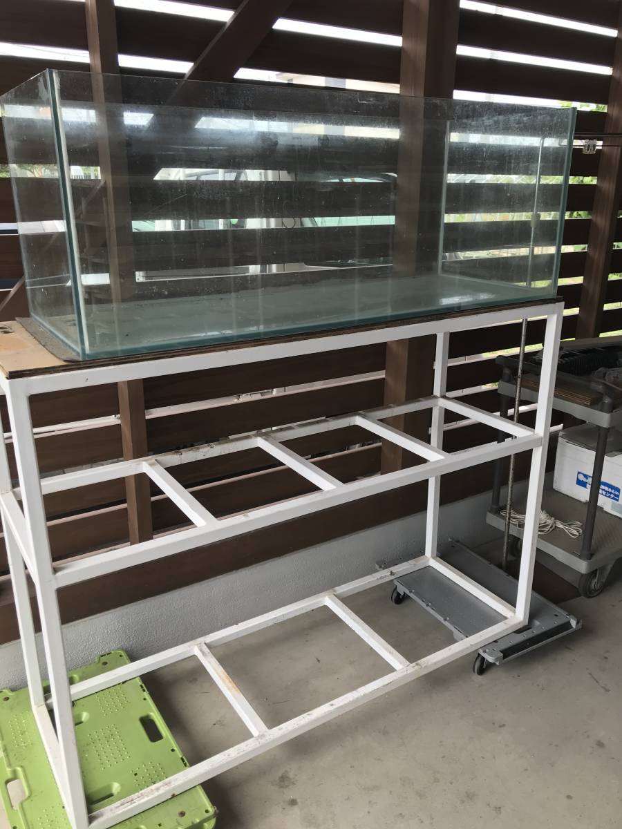 当店の記念日 １２０センチガラス水槽 福岡市 引取り限定 魚用品 水草 Caes Com Do