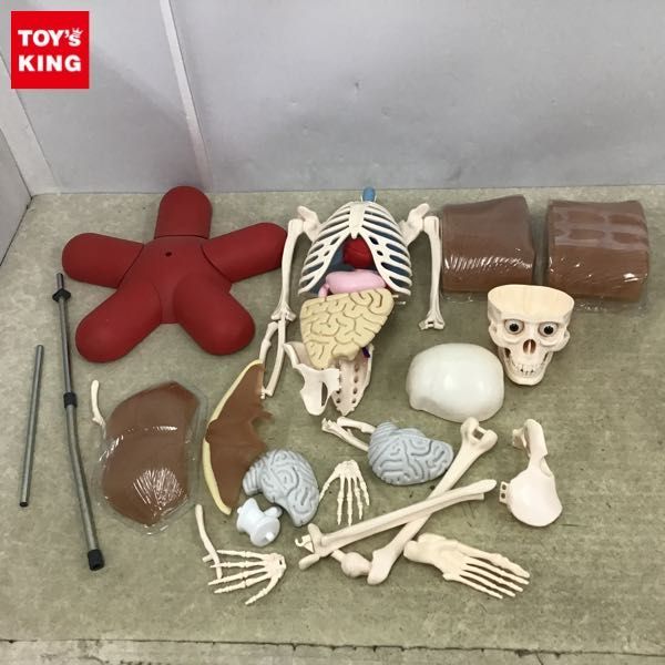 1円～ 訳あり ジャンク アシェット 体のふしぎ 人体模型_1