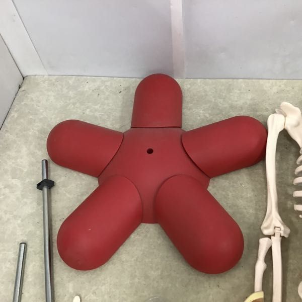 1円～ 訳あり ジャンク アシェット 体のふしぎ 人体模型_2