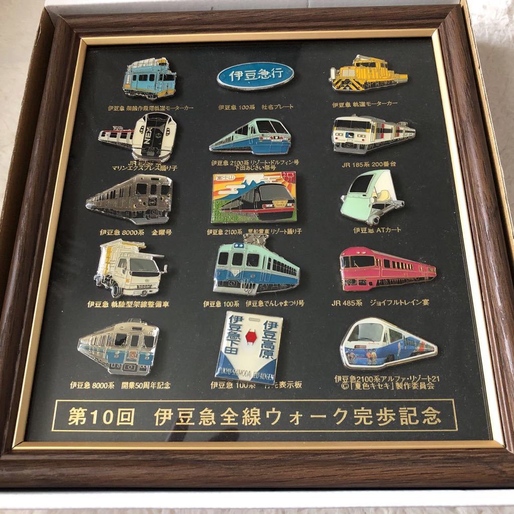 100%新品，安い】 第10回伊豆急全線ウォーク完歩記念 ピンバッチ 