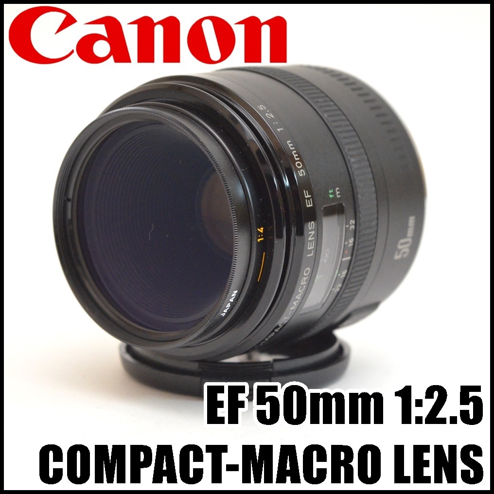 外観良品 Canon 単焦点レンズ EF 50mm 1:2.5 COMPACT-MACRO LENS AF/MF