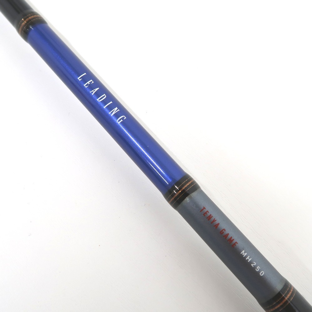 IT300234 ダイワ 釣竿 リーディングテンヤゲーム MH-250 Daiwa