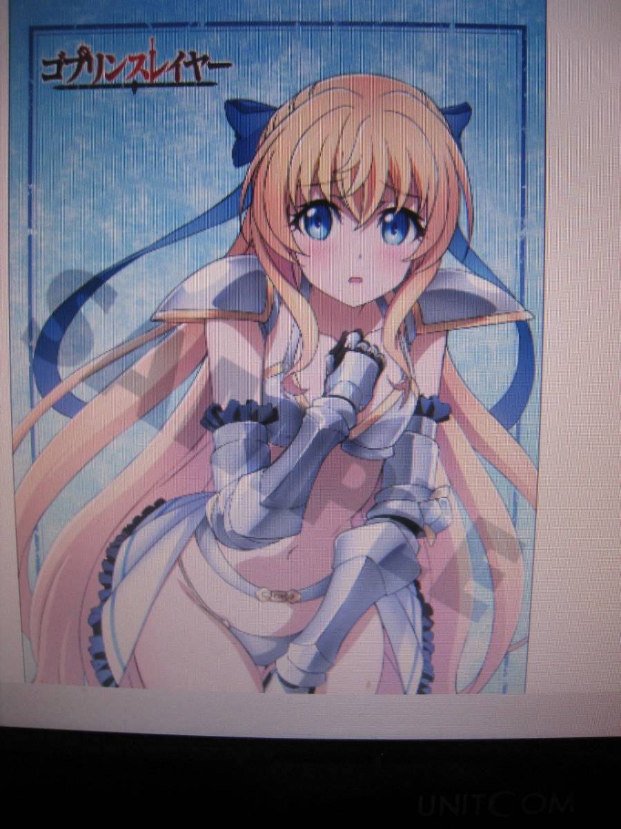 新品未開封 ゴブリンスレイヤー Blu-ray BOX アニメイト購入特典 B2  