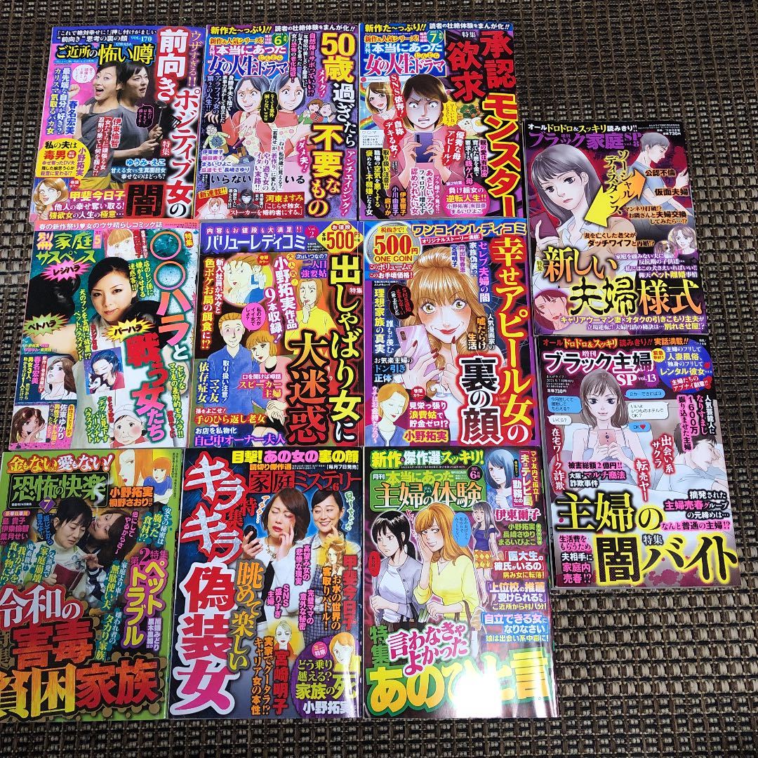 レディースコミック レディコミ 11冊セット ドロドロ系