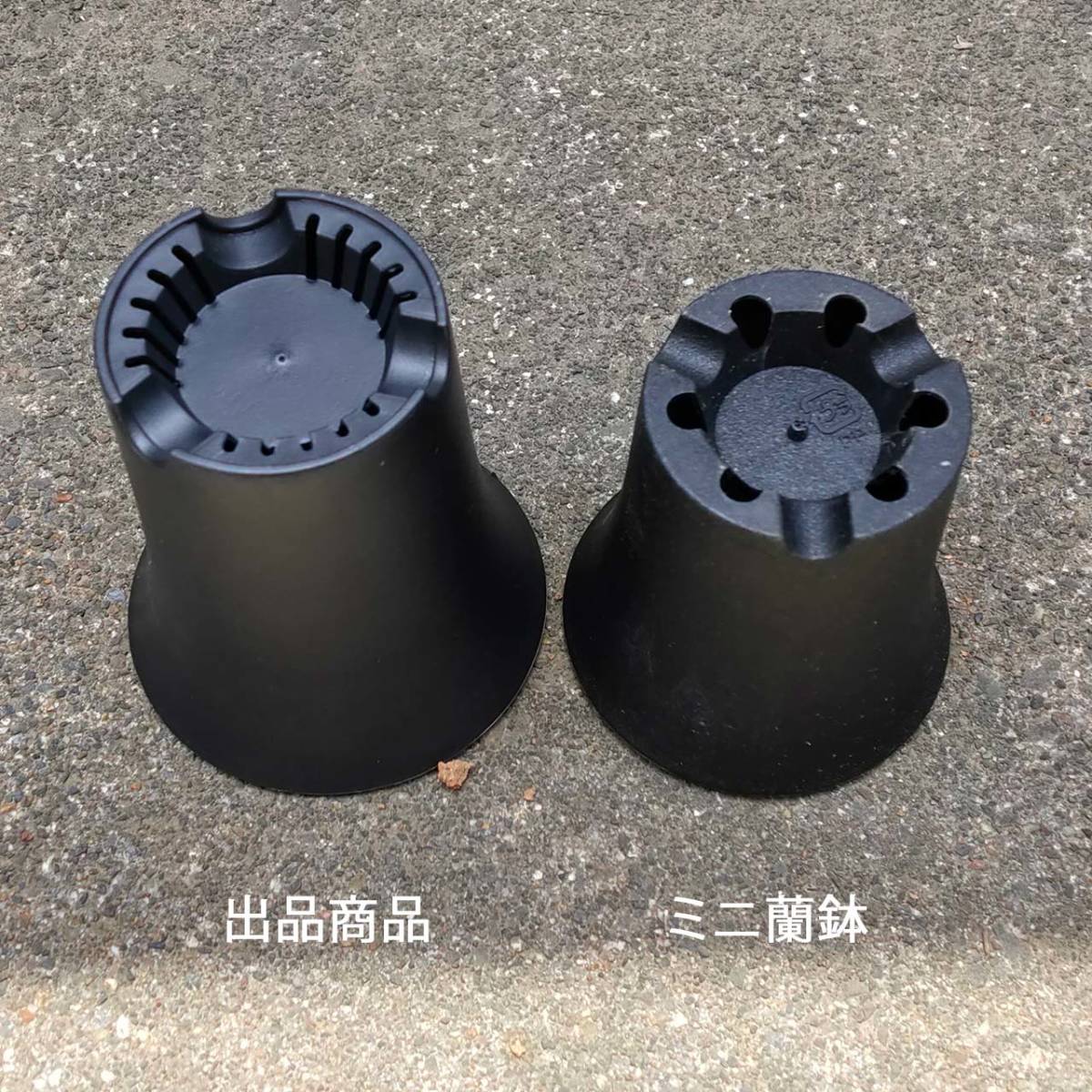 ミニ蘭鉢タイプのプラ鉢 2.5寸 直径7.5cm 40個 送料込_3