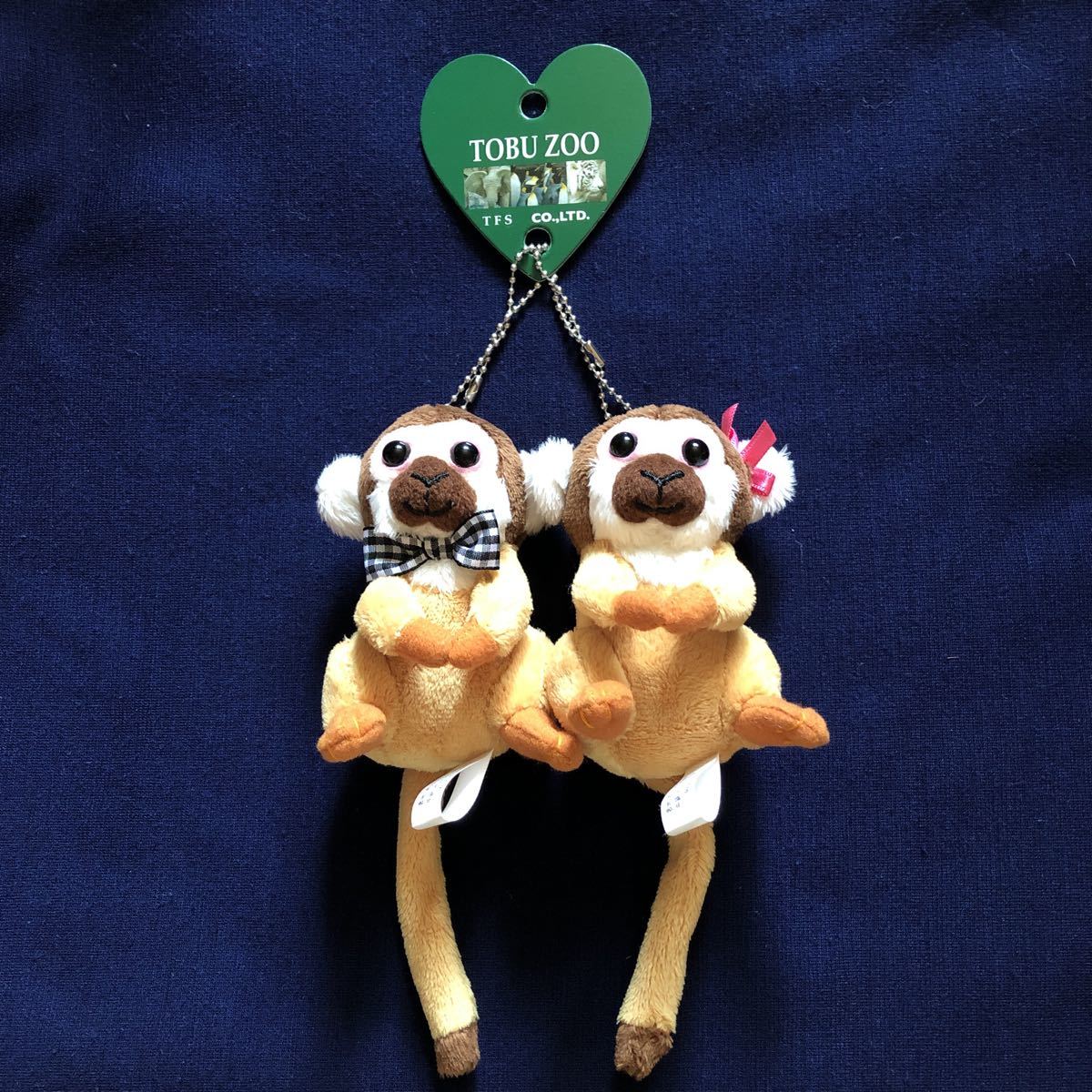 リスザルの値段と価格推移は 13件の売買情報を集計したリスザルの価格や価値の推移データを公開