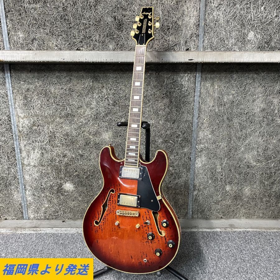 II Aria Pro PRO - TA-62 TA-200 ARIA ケース付属 セミアコギター
