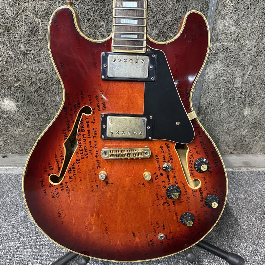 II Aria Pro PRO - TA-62 TA-200 ARIA ケース付属 セミアコギター