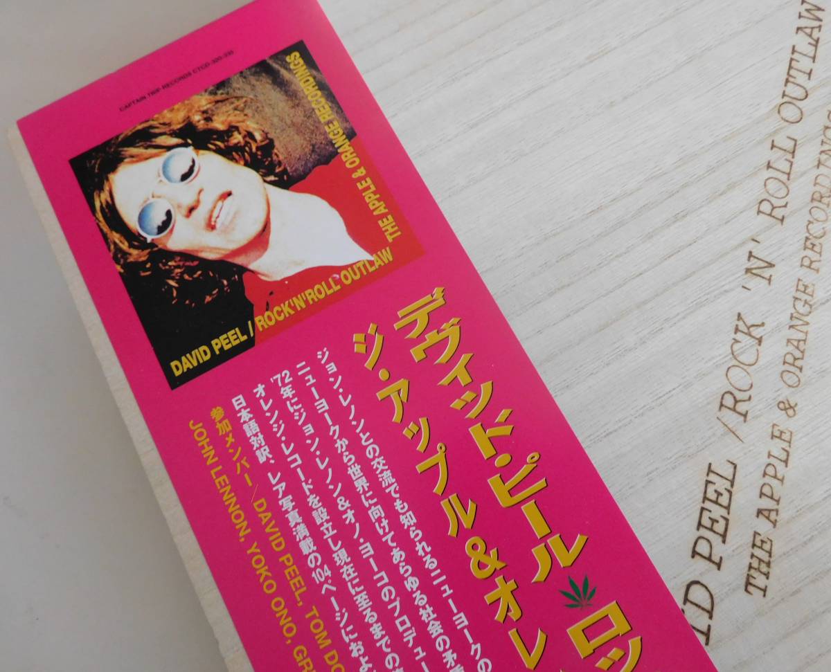 ロックンロール アウトロー デヴィッド ピール Ncmpl Pt