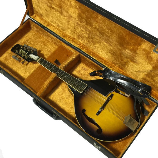 BlueBell FM-25 フジゲン MADE IN JAPAN フラットマンドリン 1970年代