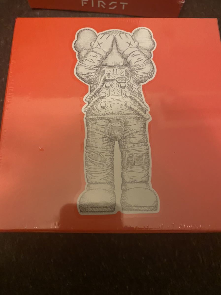 kaws tokyo first パズル 100ピース ジグゾー ご覧いただきありがとう