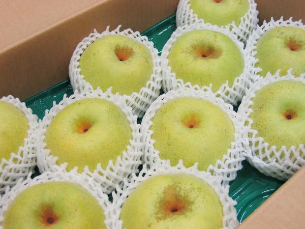 新品，人気セール Good 早期発送 本場 千葉県産 かおり梨 10 18玉 約5kg(梨)｜売買されたオークション情報、yahooの商品情報をアーカイブ公開 - オークファン 梨
