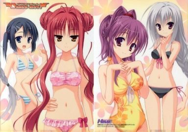 美羽 梓 莉音 エリナ クリアファイル Dracu Riot ドラクリオット 水着ver 電撃姫 12年4月号 メロンブックス限定特典 ゆずソフト コミック アニメグッズ 売買されたオークション情報 Yahooの商品情報をアーカイブ公開 オークファン Aucfan Com