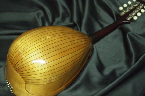 SUZUKI VIOLIN スズキ 木製マンドリン No.223 1966年製 ⁄ 鈴木 - Yahoo
