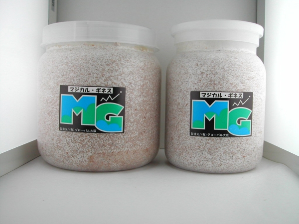 国産オオクワガタ・超大型３令幼虫ペアー（Ｄゴールド８０系統）