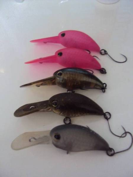 ティモン パニクラDR TSカラー ヒーローズ 1091 5個セット