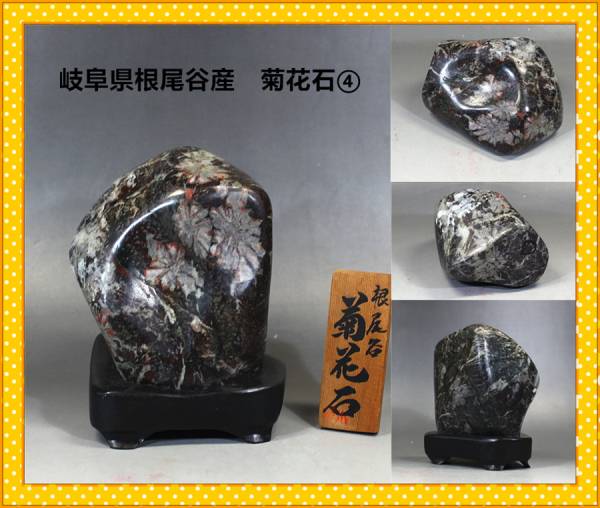【古霊陛】岐阜県根尾谷産　菊花石④／＾－＾！