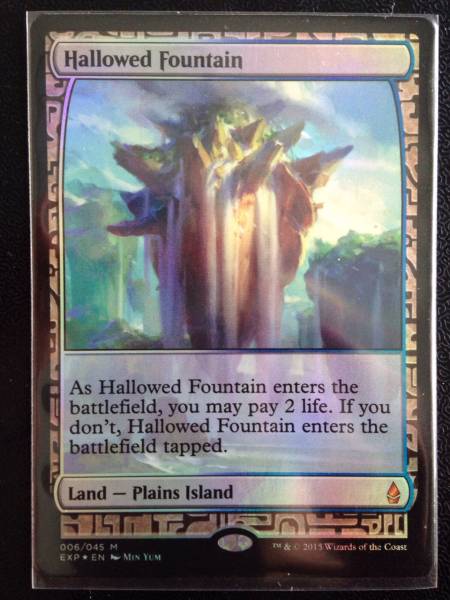 MTG 神聖なる泉 Hallowed Fountain Foil ⁄ Expeditions 土地R Zendikar