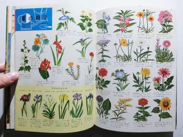 植物の図鑑/小学館の学習図鑑シリーズ1/昭和44年/レトロ(図鑑)｜売買