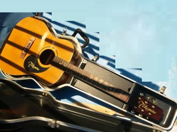 TAKAMINE（？）　詳細不明　ジャンク扱い　即決で送料無料