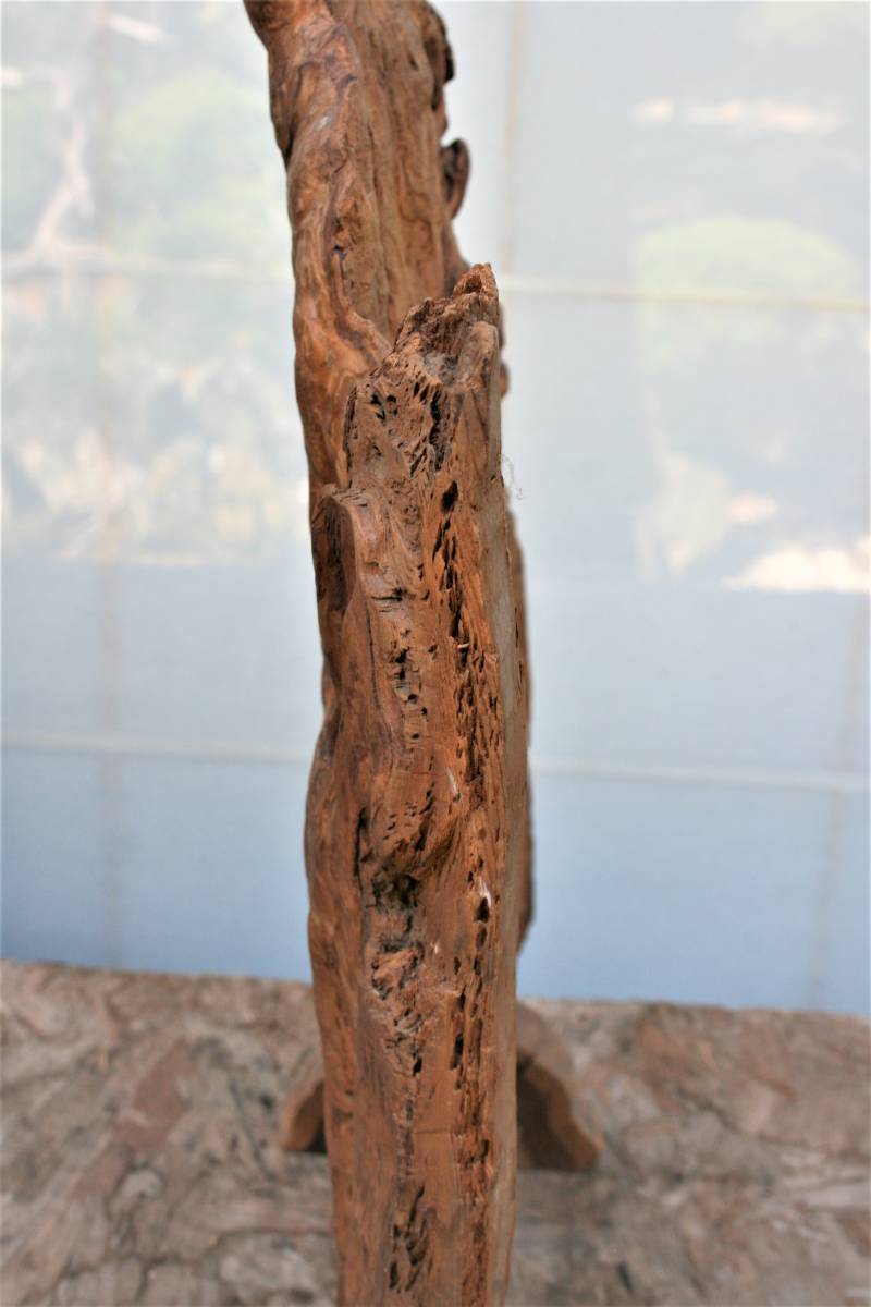 衝立　　自然木_4