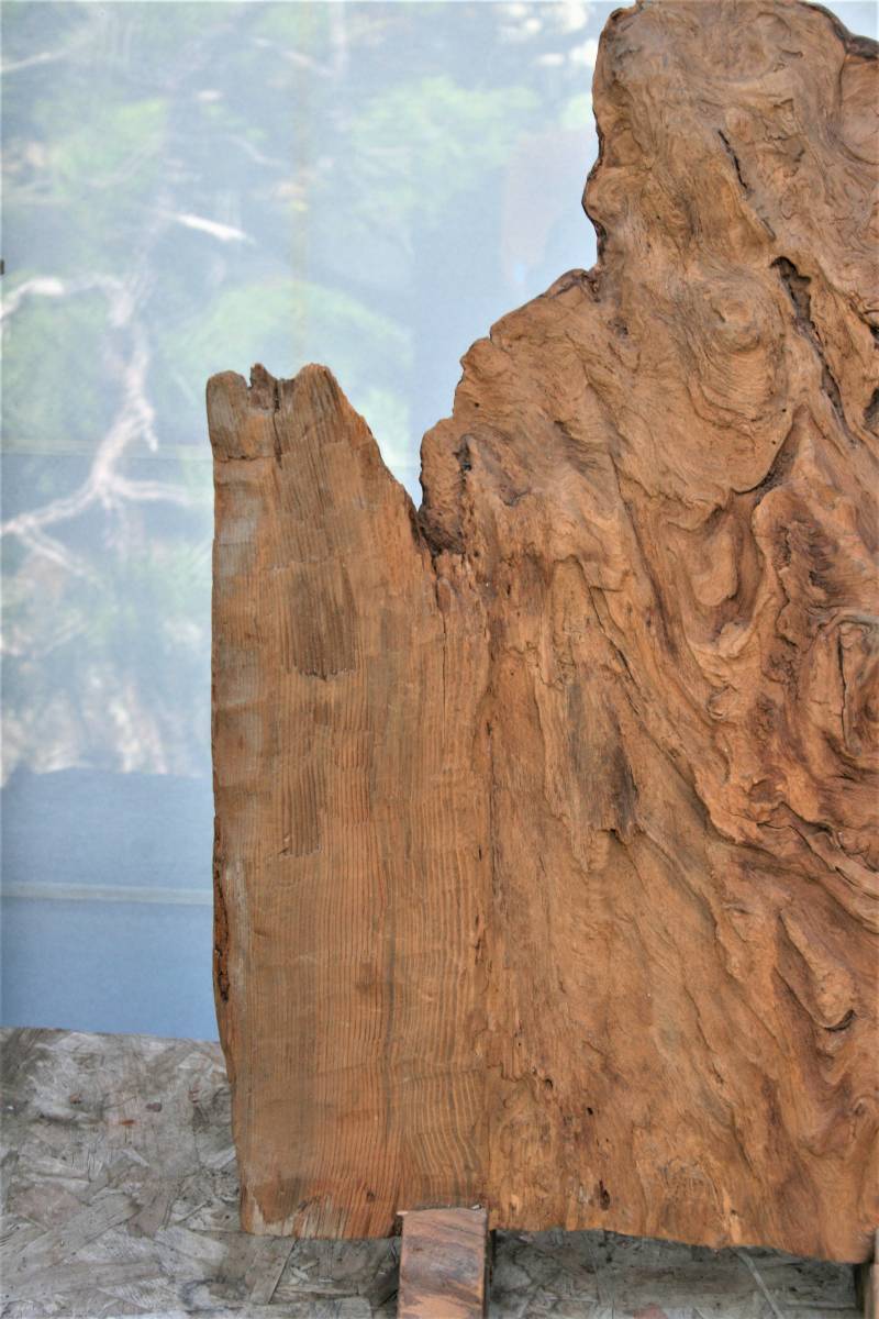 衝立　　自然木_5