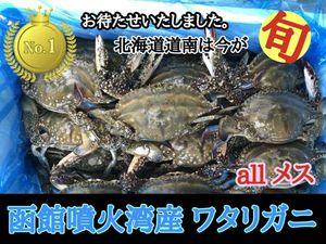 ワタリガニのヤフオク の相場 価格を見る ヤフオク のワタリガニのオークション売買情報は78件が掲載されています