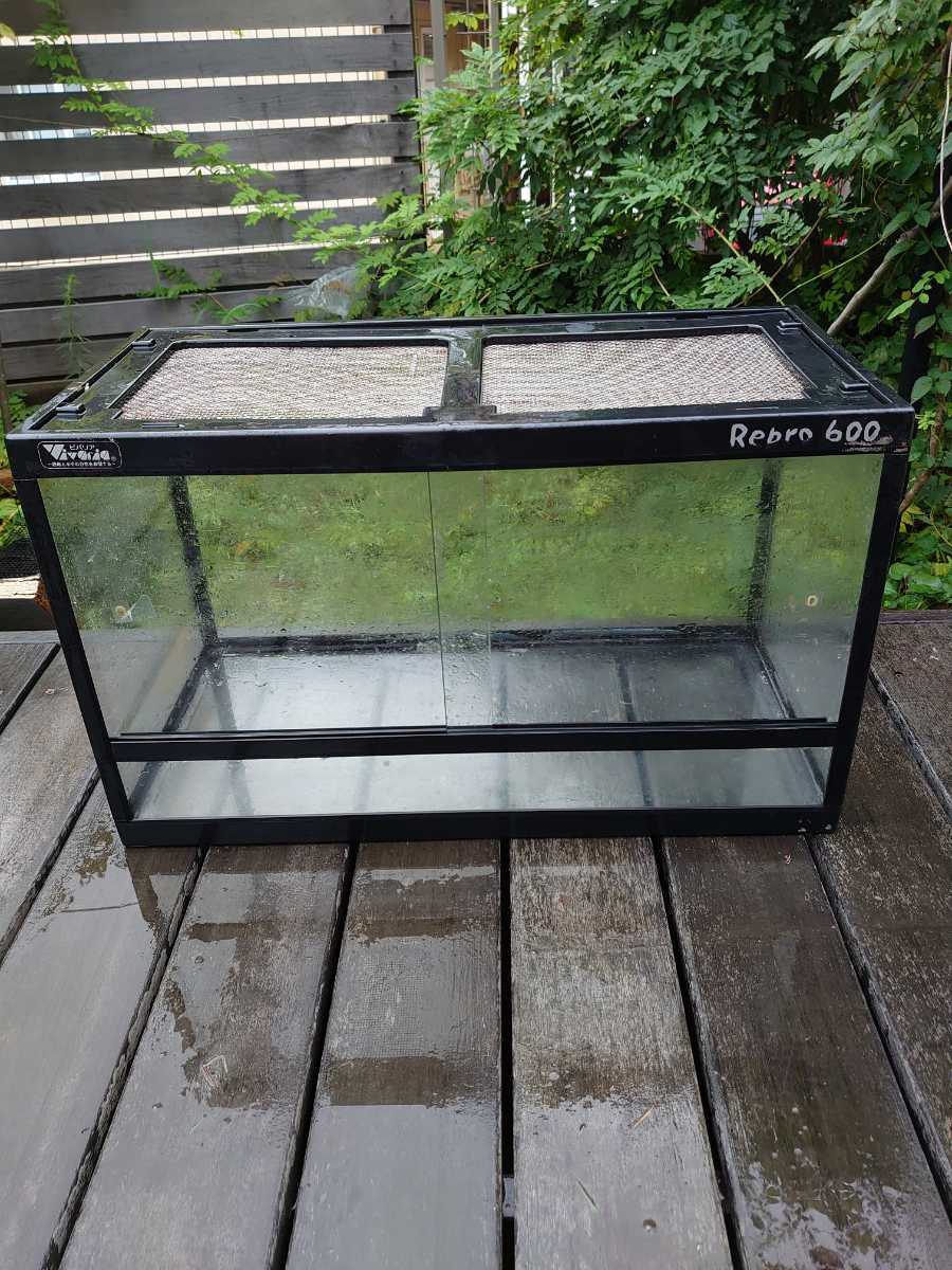 ビバリア 爬虫類用ゲージ レプロ1000シリーズ 飼育ケース ガラス 60×30 