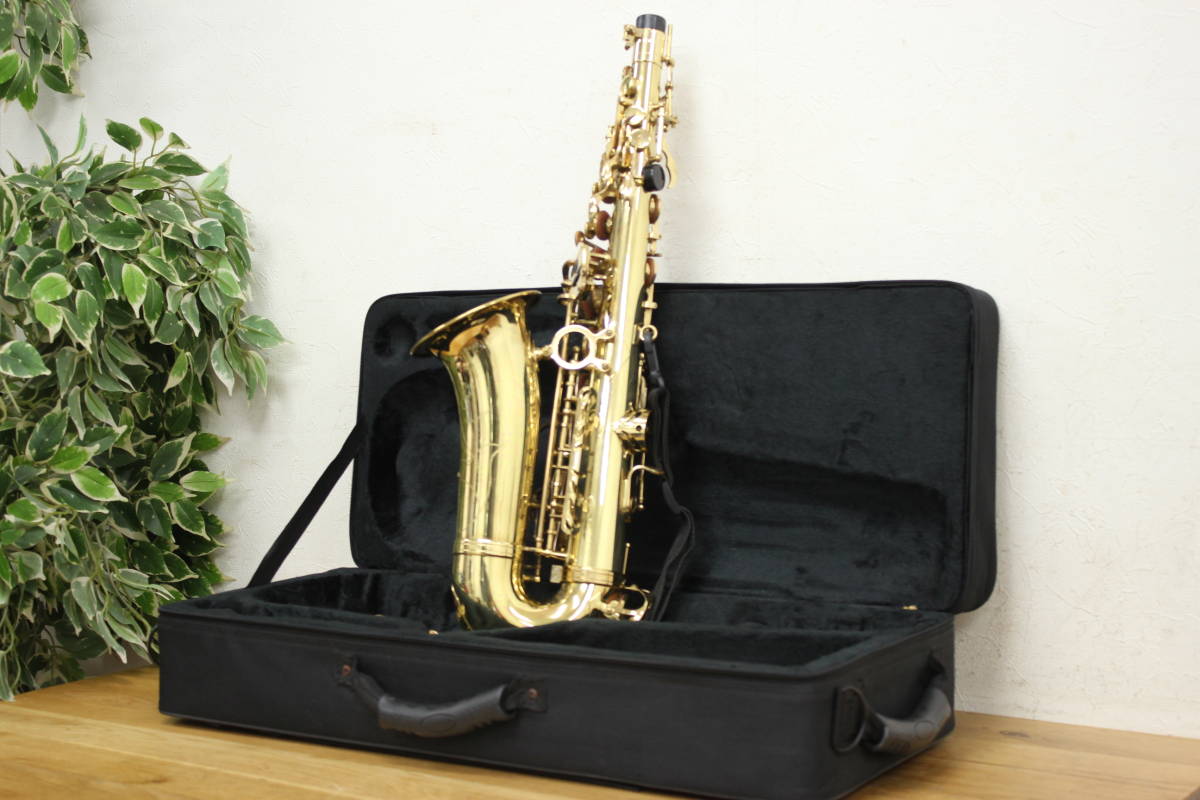 Kaerntner ケルントナー アルトサックス 楽器 管楽器