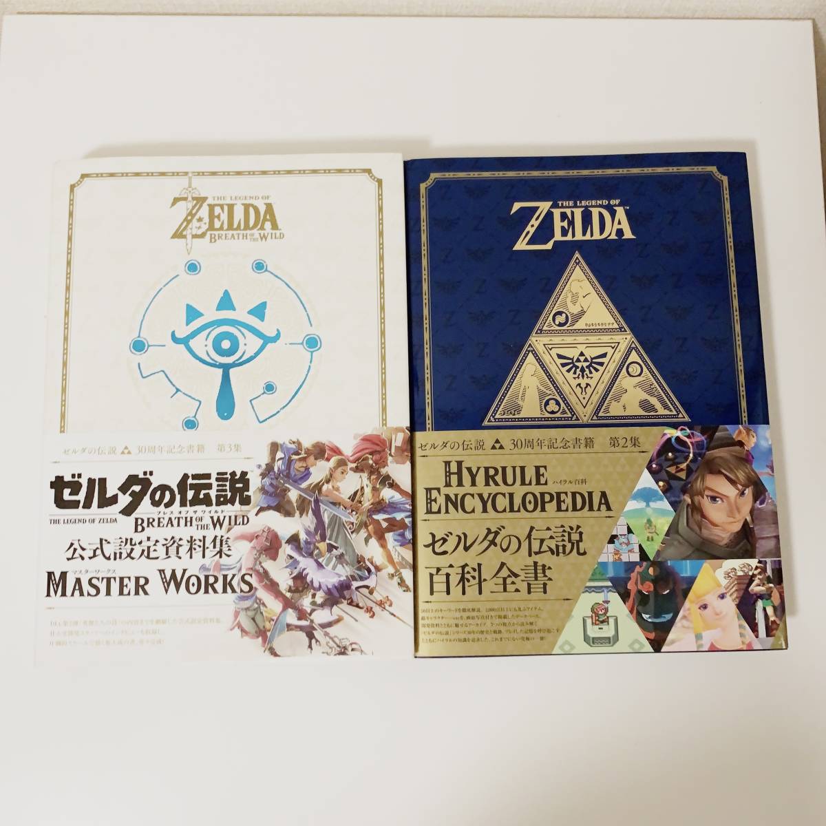ゼルダの伝説 30周年記念書籍 THE LEGEND OF ハイラルグラフィックス 第1集